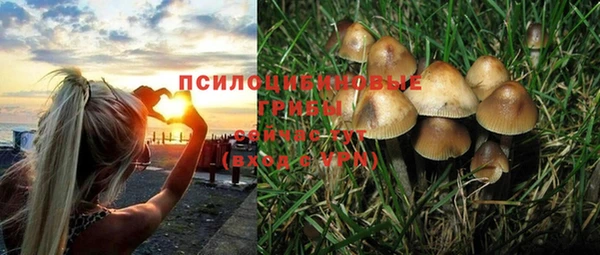 экстази Гусь-Хрустальный