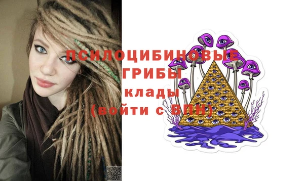 каннабис Гусиноозёрск
